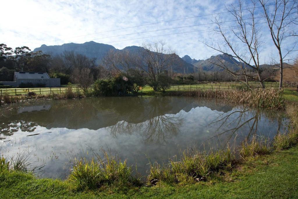Viettz Suite Stellenbosch Exteriér fotografie